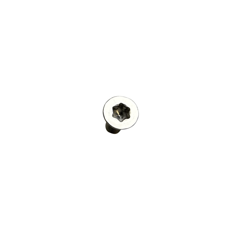 Foil Mounting Hardware M8 X 25mm Torx (set Of 4)
