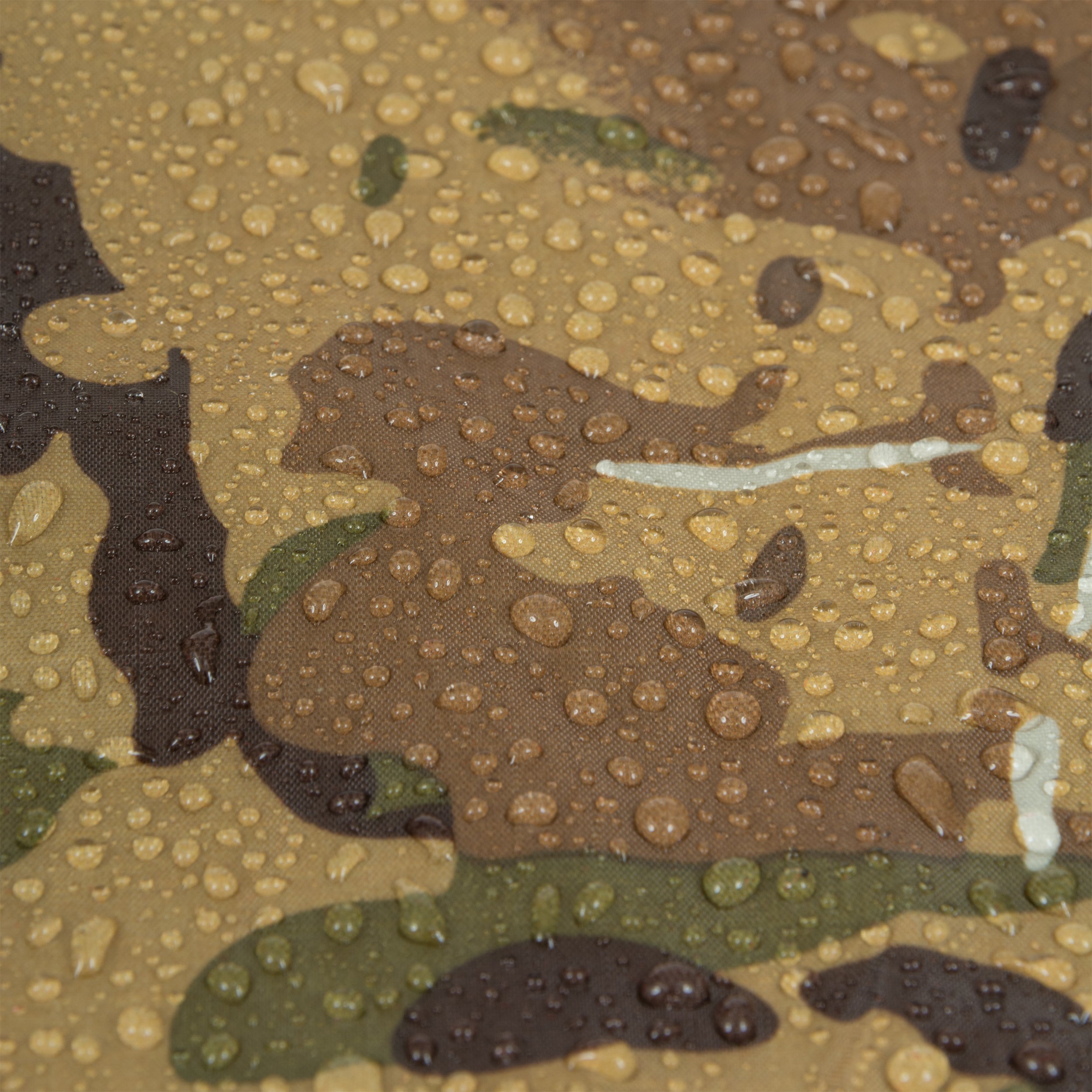 Highlander - BASHA / TARP LY NING