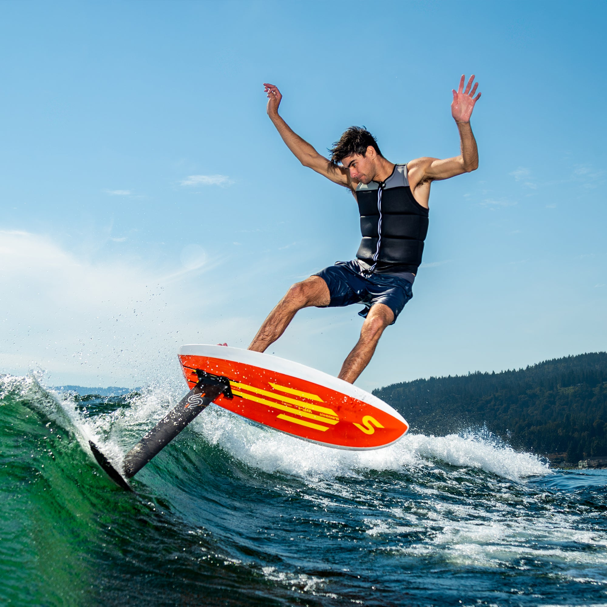 Wf-1 V6 3'11" Board Only
