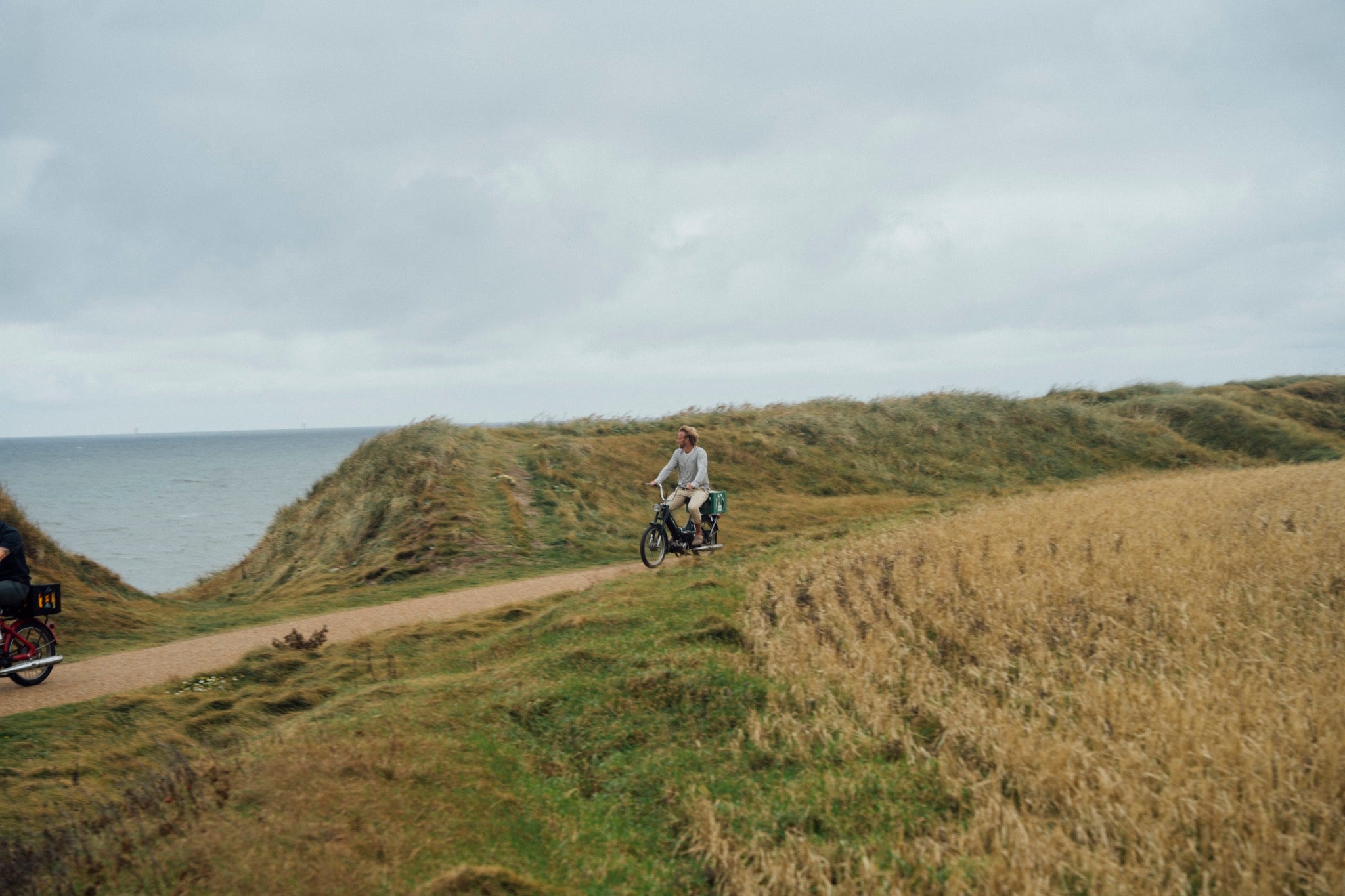 Ahoy! Mini Surf's Up