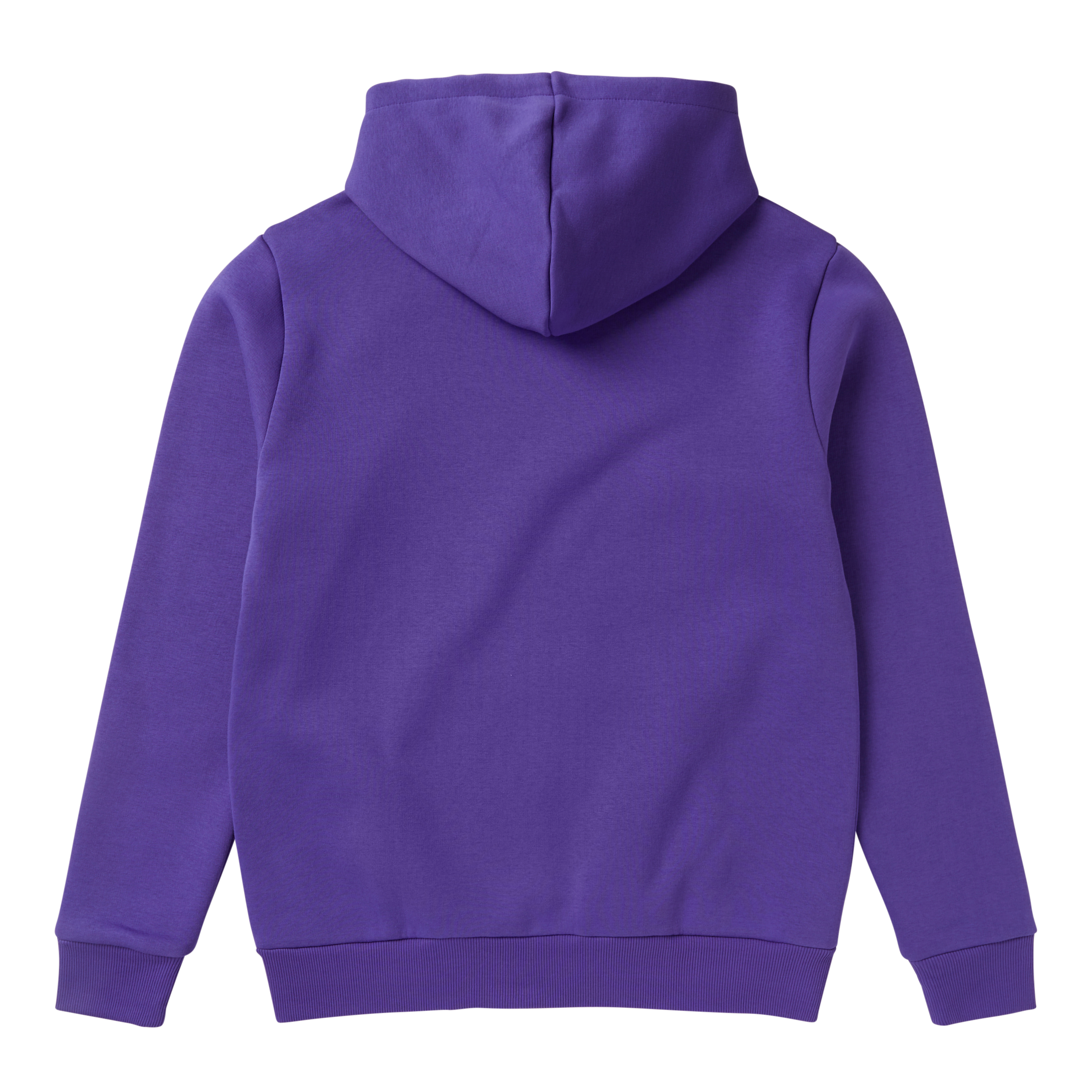 Icon Hood Sweat