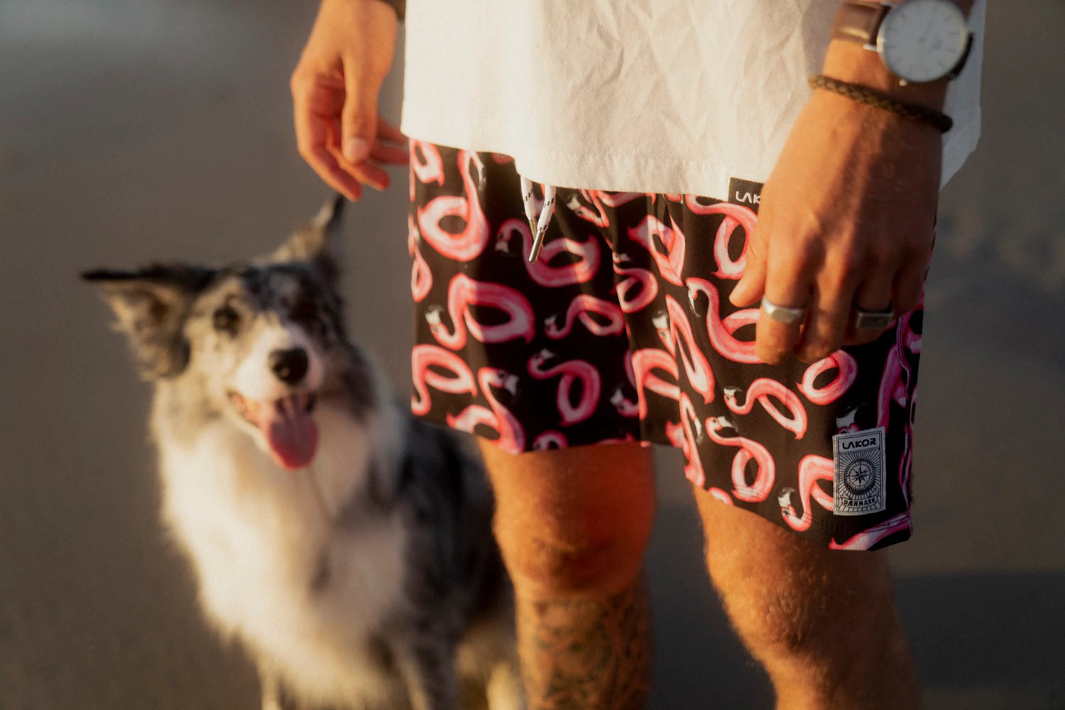 Flamingo Lakor - puffin shorts