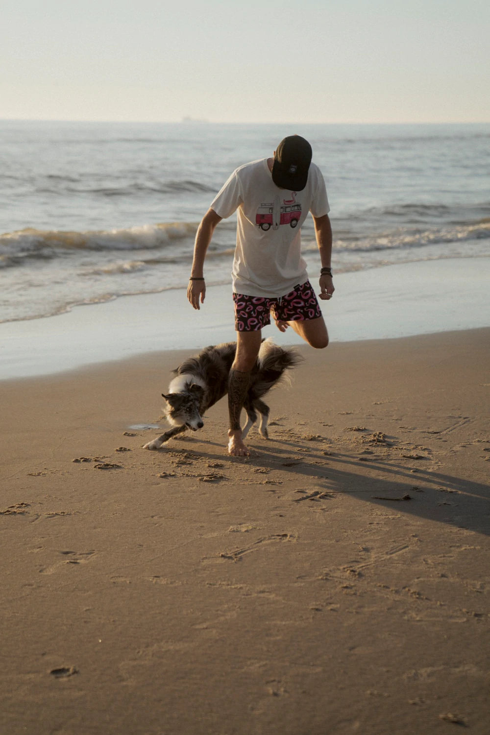 Flamingo Lakor - puffin shorts