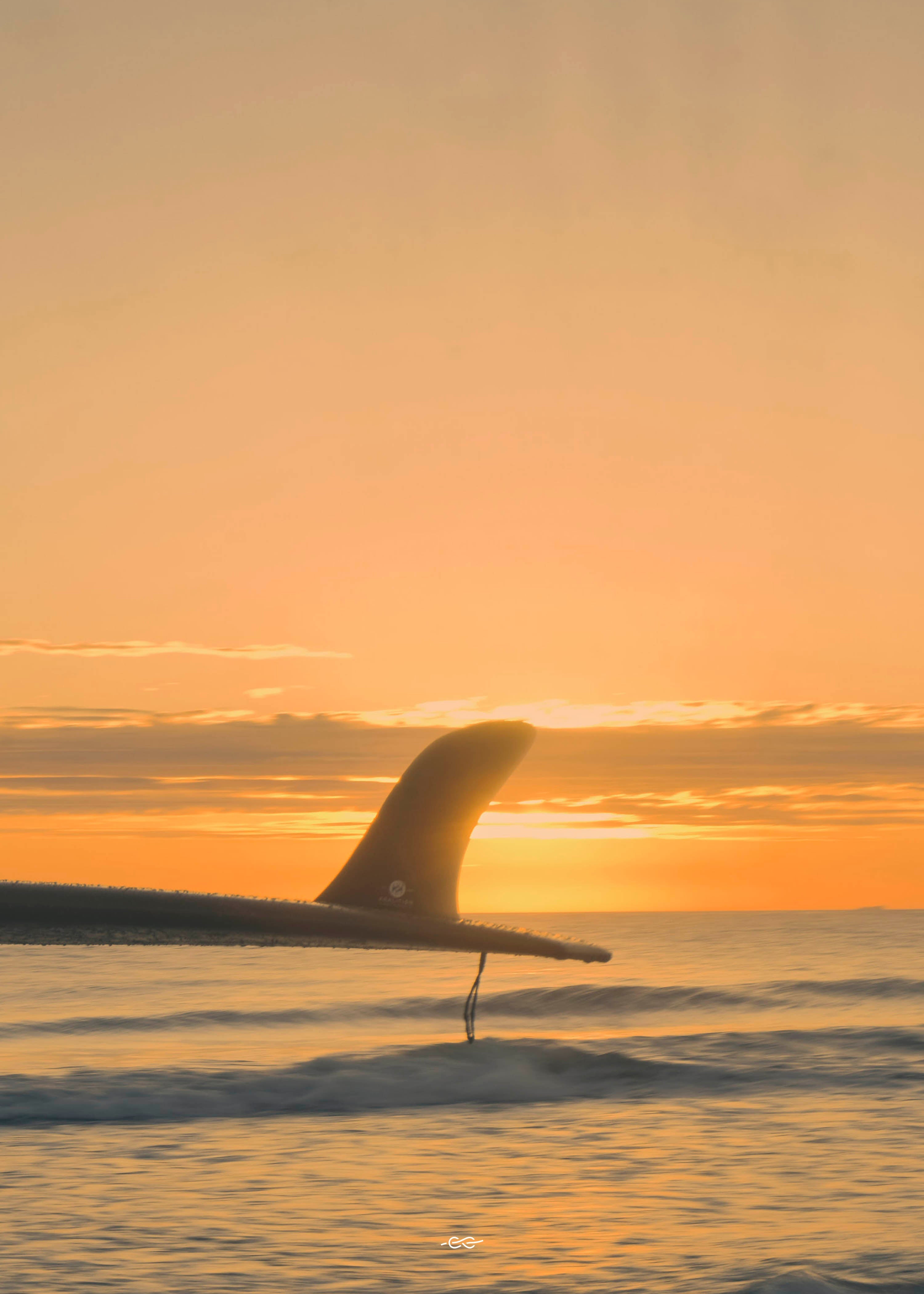 Sunset Fin 50x70 - Poster