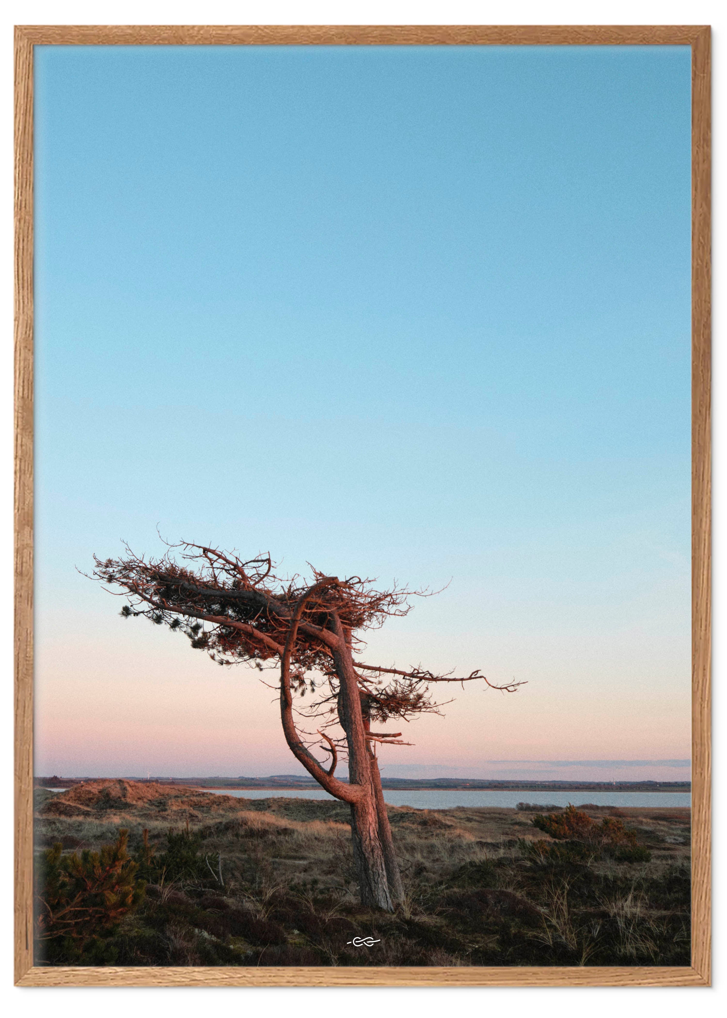 Tree 50x70 - Poster