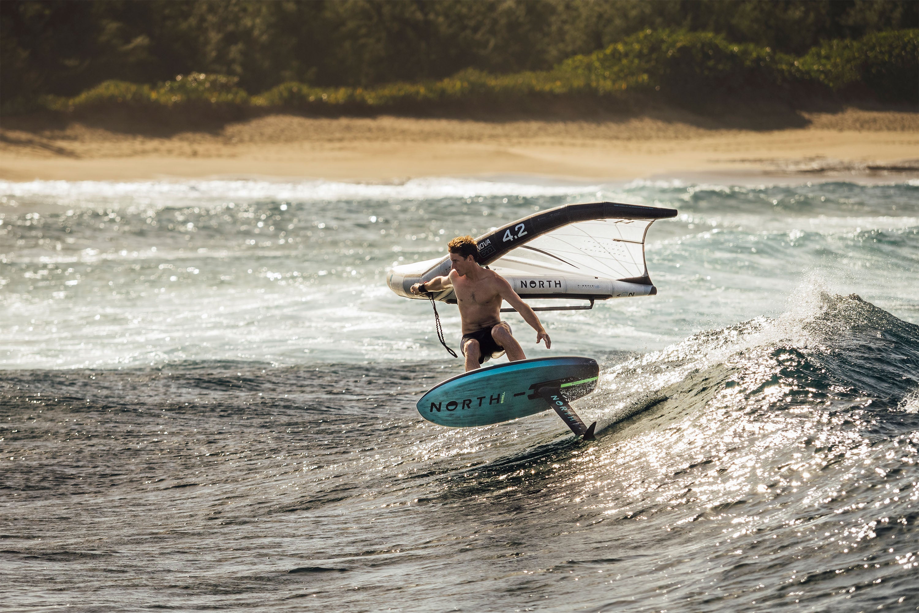 Swell Pro