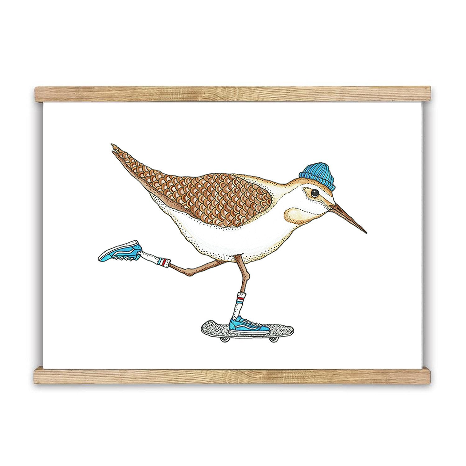 Lakor - Sandpiper Skate Plakat