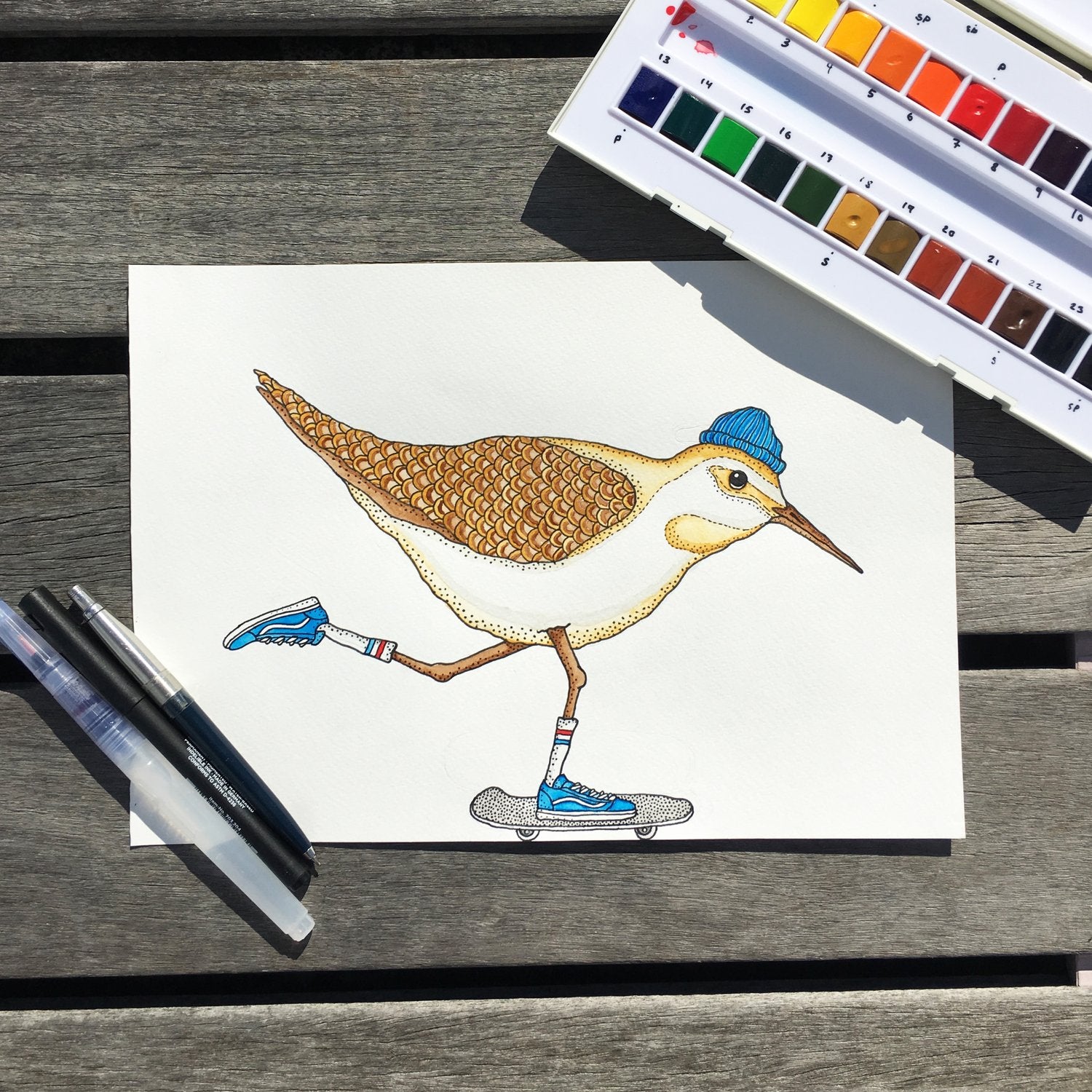 Lakor - Sandpiper Skate Plakat